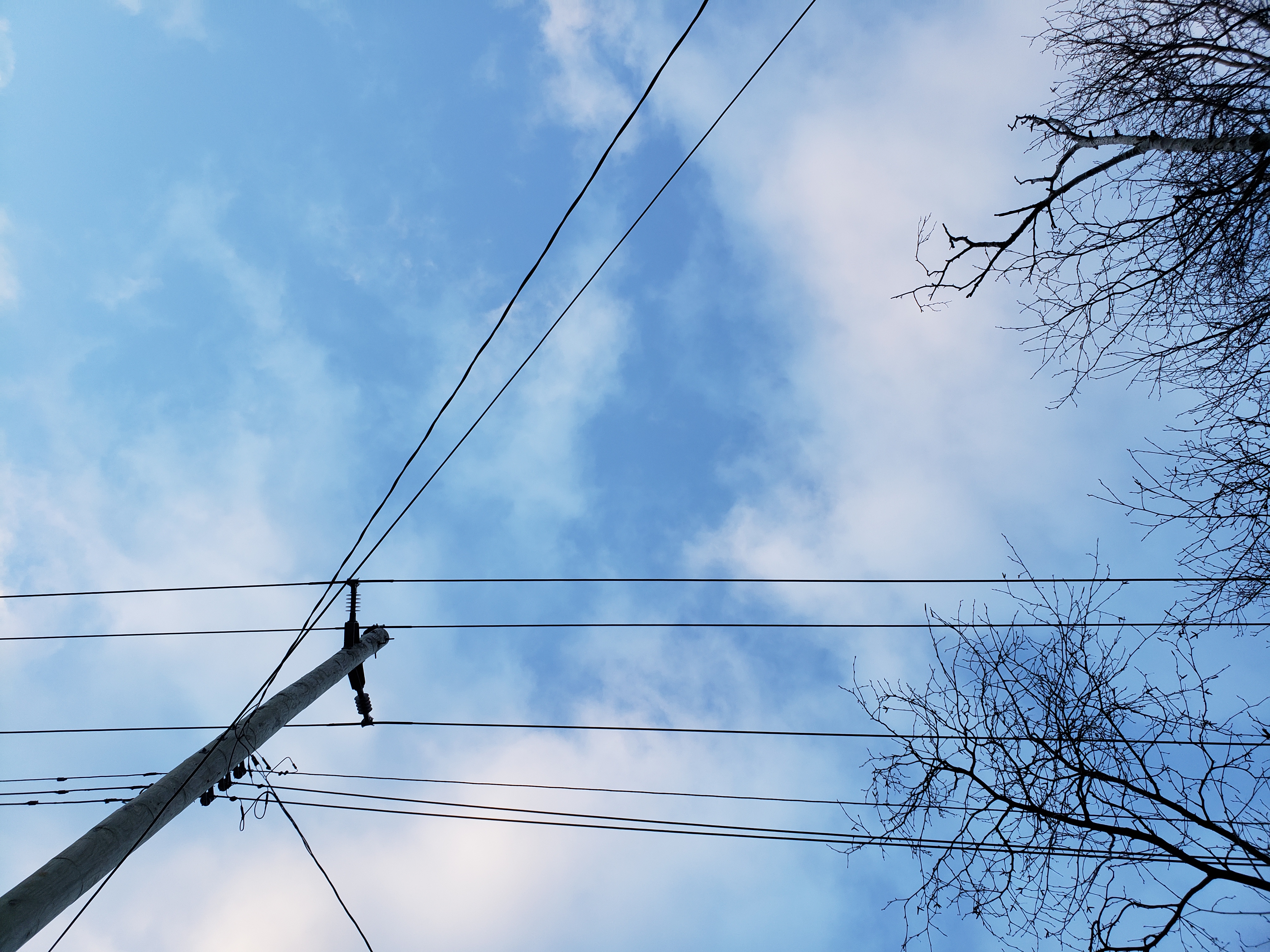 An image of a partially clouded sky. To the right are the bare, tangled branches of a birch tree. To the left, a light pole. The sky is crossed with power lines. 