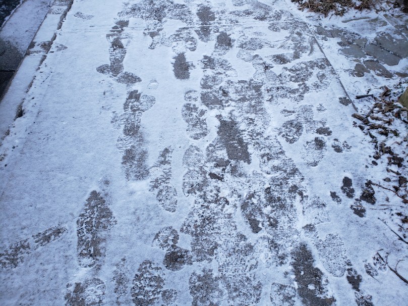 A snow-dusted sidewalk with various footprints (human and canine).