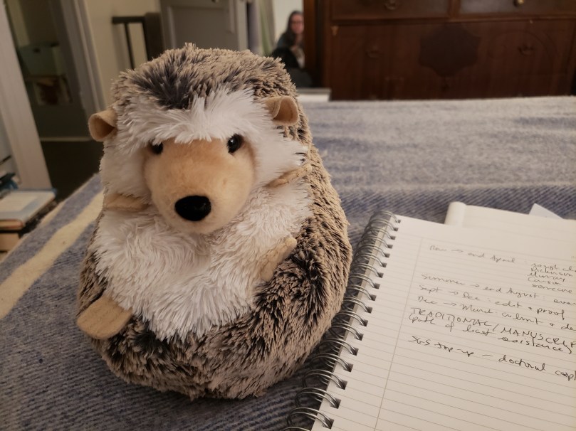 A plush hedgehog named Wallis is propped on a bed, atop a blue wool blanket. Beside Wallis is a pile of notebooks. The top notebook is lined and spiral bound, and is open to a page of handwritten scribbles. In the background, Andreae, a white woman with glasses and long dark hair, is reflected blurrily in a mirror. 