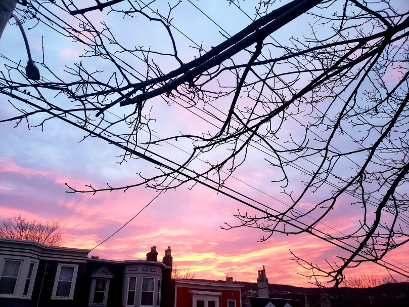 A splendid sunrise over the rooftops of downtown St. John's. The sky is glowing with shades of periwinkle, lavender, coral, orange, and gold. The upper right of the photo is crosshatched with bare tree branches and power lines. The top-floor windows and chimney pots of four brightly-coloured rowhouses are visible across the bottom of the photograph.