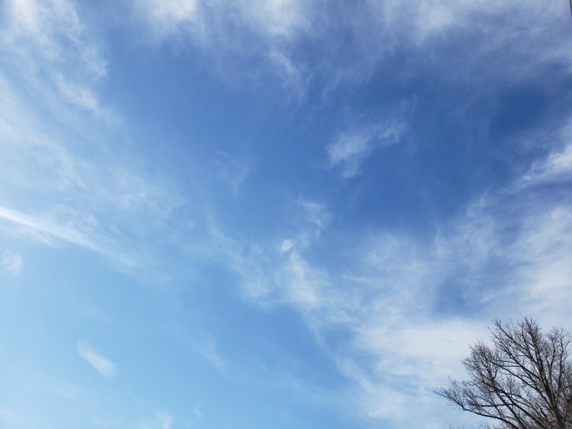 A broad, blue winter sky streaked with wispy white clouds. At the lower right-hand corner, the very top branches of a leafless linden tree.