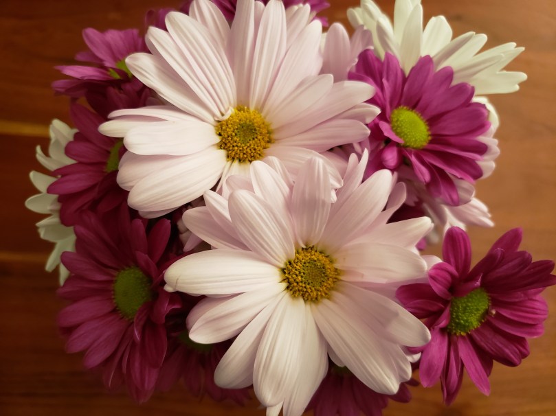 A bouquet of pale pink, magenta, and white chrysanthemums, shot from above. 