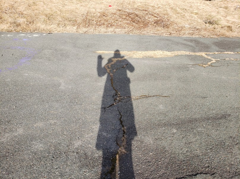 Andreae's shadow is cast against the cracked asphalt of a disused parking lot. The shadow has its left hand raised as if waving hello. Just past the asphalt is a bank of dried, yellowed winter grasses.